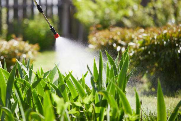 Tamper-Resistant Bait Stations for Rodents in Pocono Springs