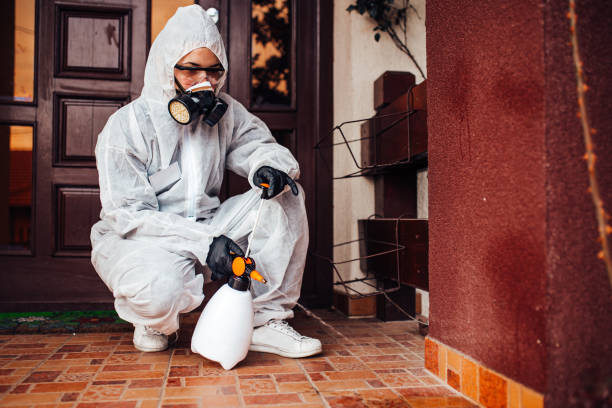 Attic and Crawl Space Rodent Treatment in Pocono Springs