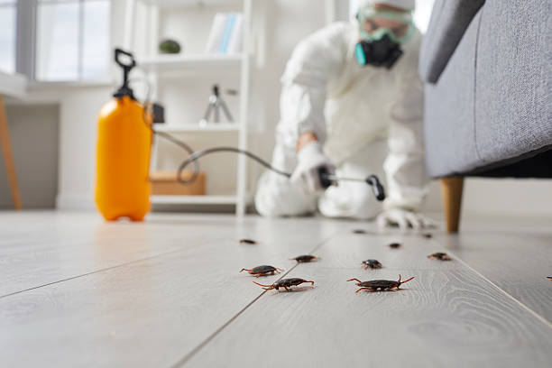 Commercial Rodent Management in Pocono Springs